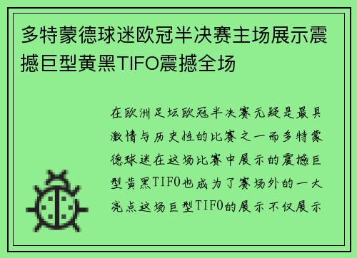 多特蒙德球迷欧冠半决赛主场展示震撼巨型黄黑TIFO震撼全场